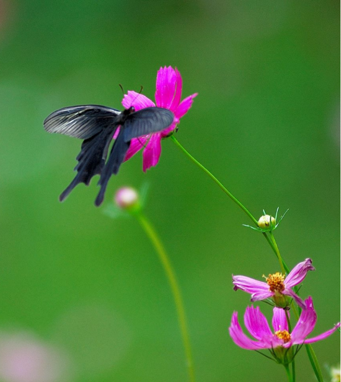 image178.jpg